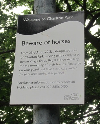 Beware of horses in Charlton Park
