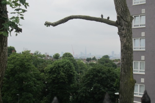 The Shard seen from Charlton